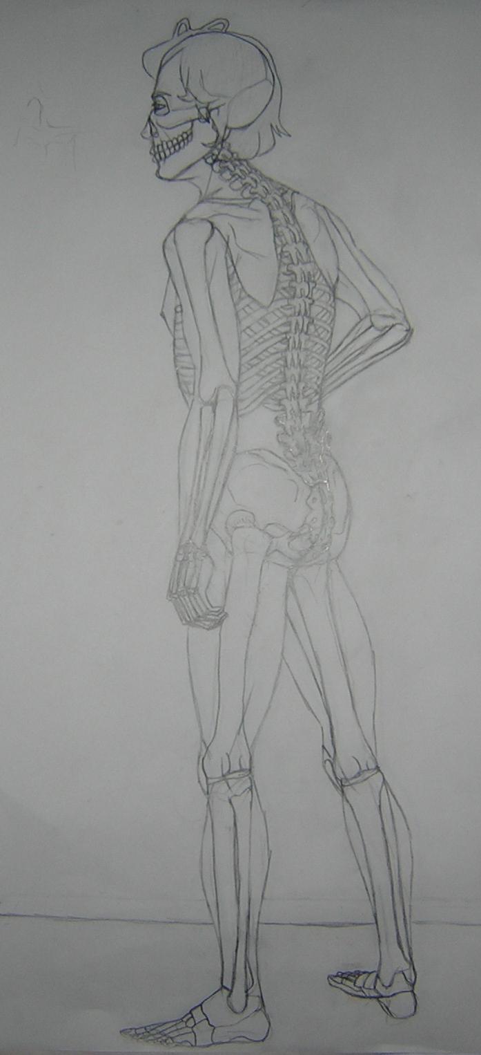 Skeletal Study 